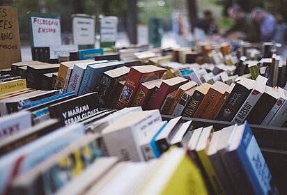 Zu sehen sind jede Menge Bücher, die hintereinander aufgestellt sind.