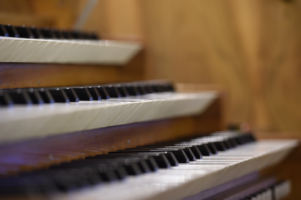 Zu sehen ist die Tastatur einer Orgel.